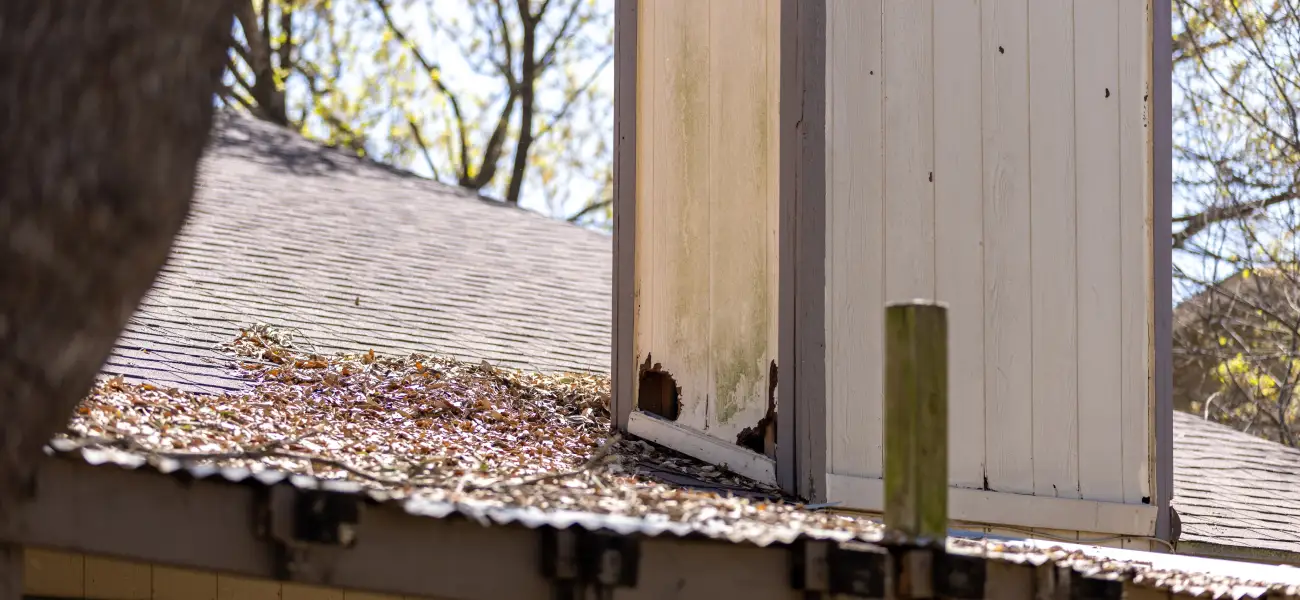 A chimney with holes from pest intrusion. Call or contact Animal Remover in Cincinnati for a property inspection to get rid of nuisance pests and wildlife.