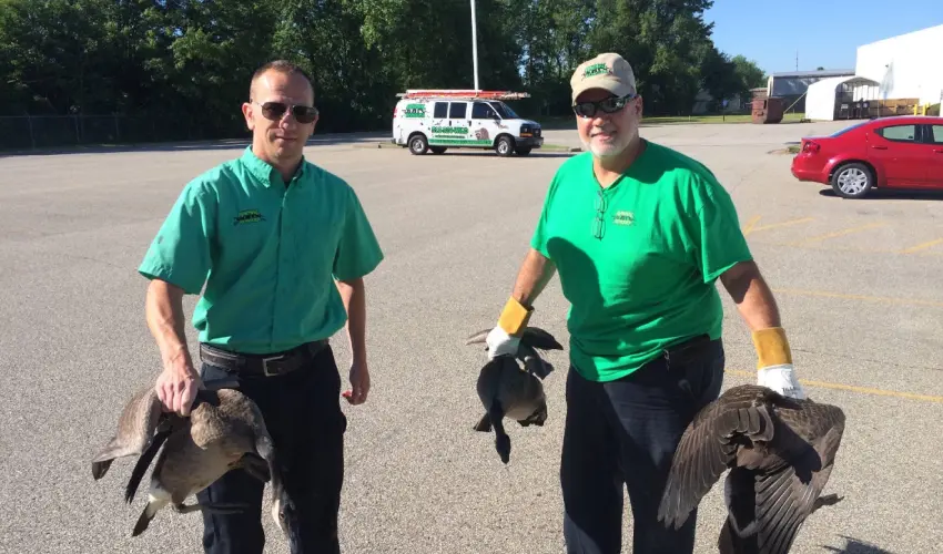 Animal Removal team after geese removal in Cincinnati. All Animal Removal service technicians are licensed and insured.