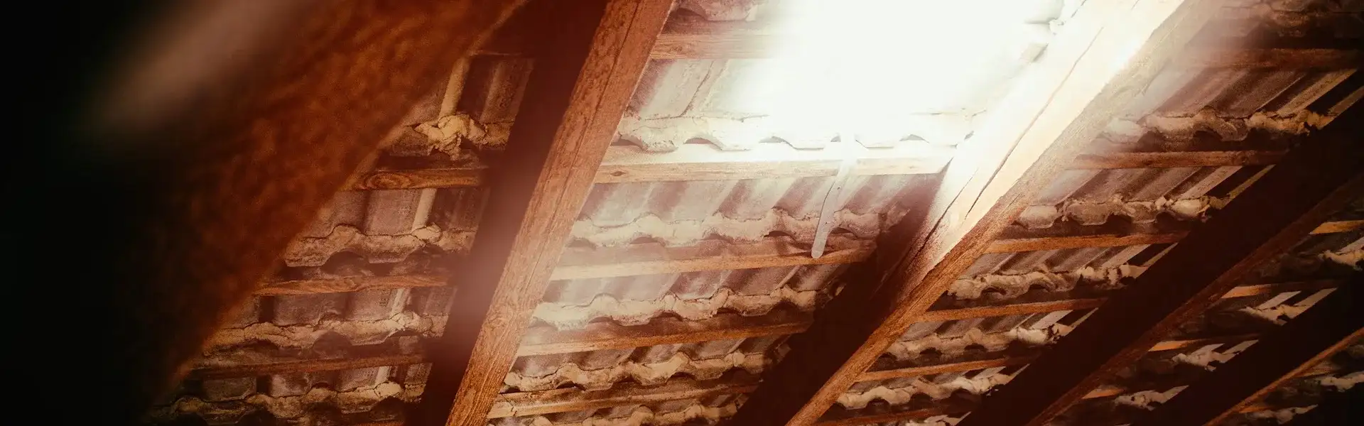 Attic insulation installation by Animal Remover in Cincinnati, OH