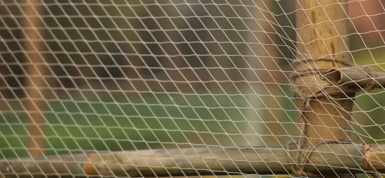 Bird netting in a backyard