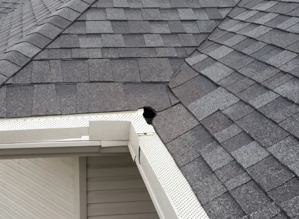 Hole in a gutter line, creating an entry point for pests