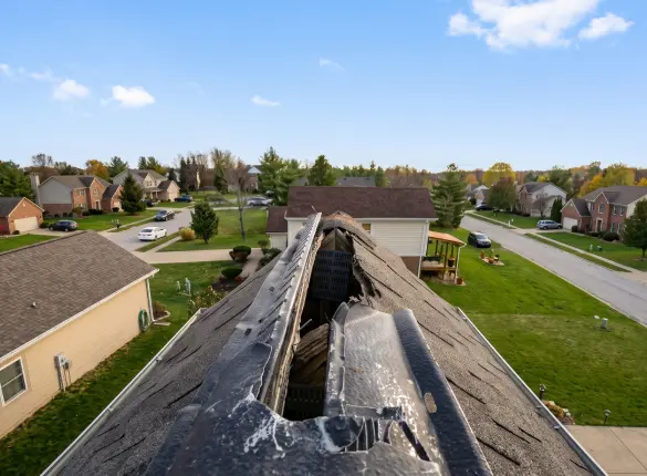 Roof damage caused by pest intrustion