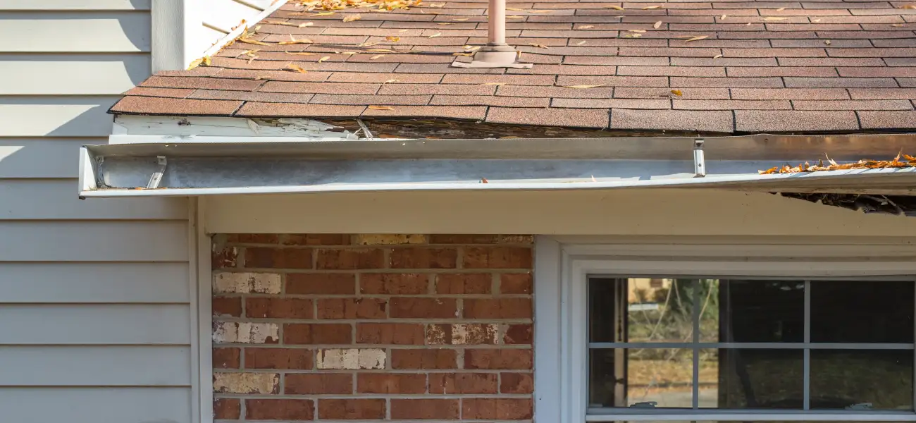 Exposed and rotting facia brought on by raccoons