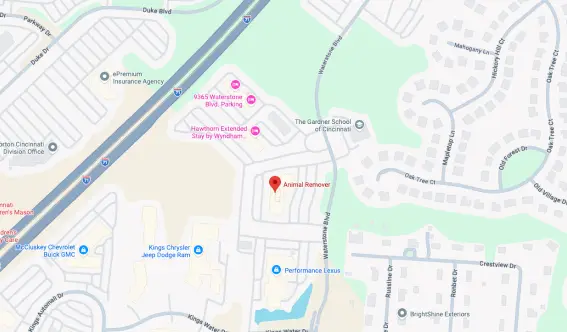 Animal Remover location on Google Maps