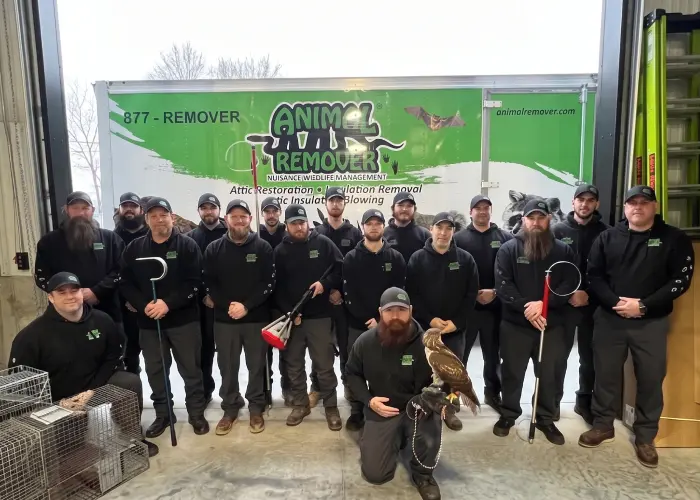 Animal Remover team offers commercial pigeon dropping cleanup and sanitation services