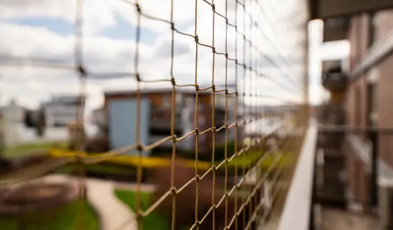 A bird net on an apartment terrace in Cincinnati