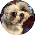Deborah C. Avatar